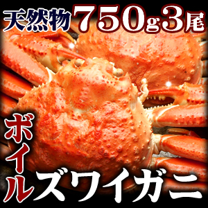 姿/蟹