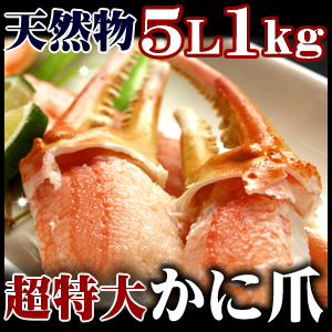 (16〜20個入)