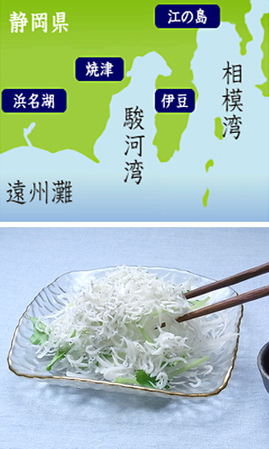 しらす 遠州灘