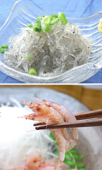 母の日 2025 楽天 感謝 贈り物 海鮮グルメ ごちそう 