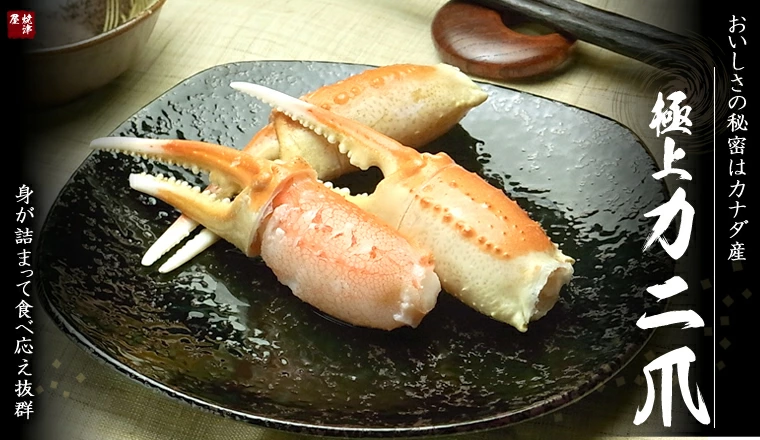カニ爪6L 焼津屋厳選 極上カニ爪 1匹に2個しか取れない貴重品 11 15個 正規品 大満足の品 蟹爪よく動く部位 プリプリの歯ごたえ 繊維質な蟹肉 ジューシーな本ズワイガニのかにつめ かに爪 蟹つめ カニつめ 蟹ツメ 蟹爪 ズワイガニ爪 繊維がしっかりよく動く部分 噛み応え抜群のかに肉 カニの体の中で一番よく動く部位