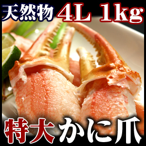 (21〜25個入り)