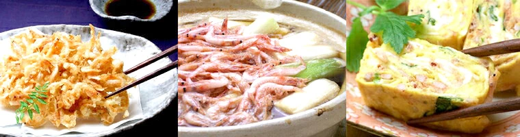 駿河湾産高級生桜海老(桜エビ)200g【ギフト】ギフト対応可能無料のし作成用途に合ったギフト包装