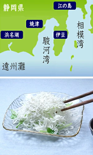 お花見 ちらし寿司 行楽 グルメ 入学祝い 内祝 お返し 豪華 グルメ 海鮮 ギフト おつまみ お取り寄せ プレゼント 酒の肴