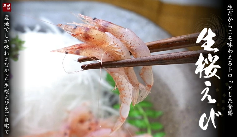 生桜えび 生桜えび 由比港と大井川港だけで水揚げ 駿河湾だけで獲れる桜えびは大変貴重 各種お祝い お返し 3月29日桜えび漁解禁! 今が旬のさくらえび 桜エビ風味が抜群甘みも強く美味しさが格段に違う!駿河湾にだけ生息してる希少価値のある海老