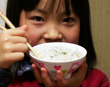 釜揚げしらす丼
